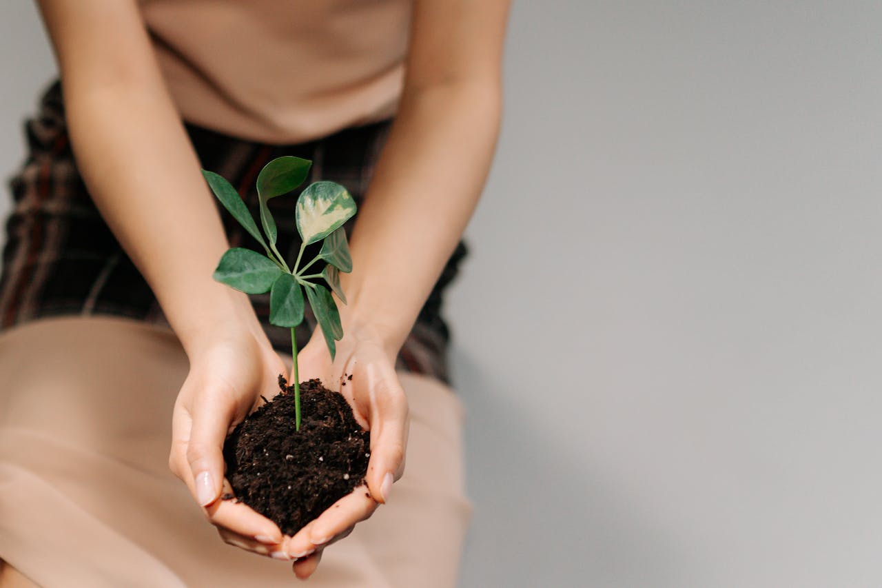 services-img-04 A close-up of hands gently holding a young plant with soil, symbolizing growth and care.