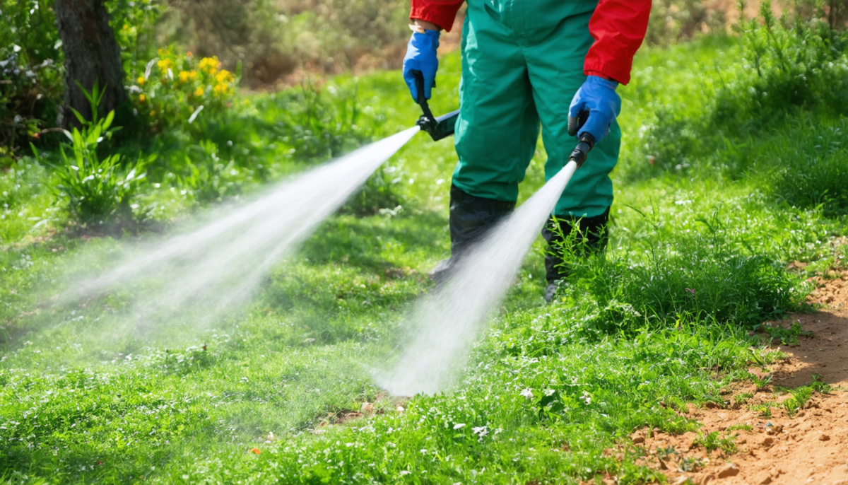 découvrez notre guide complet pour l'achat et l'utilisation du désherbant radikal glyphosate 5l en espagne. conseils pratiques, précautions et réglementation pour un désherbage efficace et sécurisé.